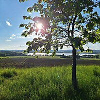 Eindrücke vom Abend