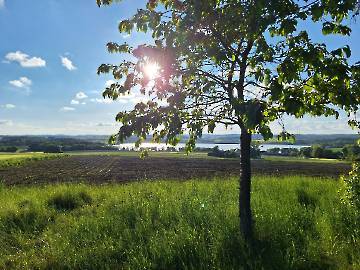 Eindrücke vom Abend
